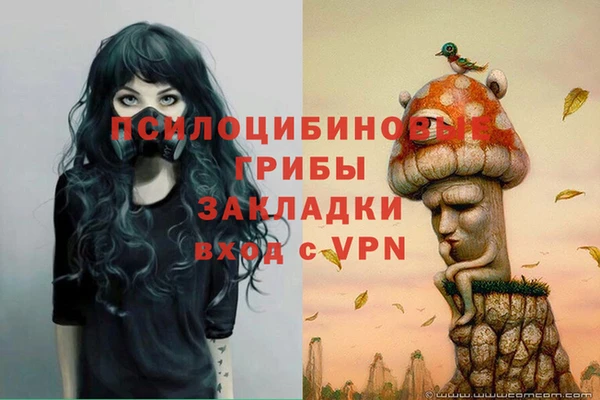 соль ск Бугульма